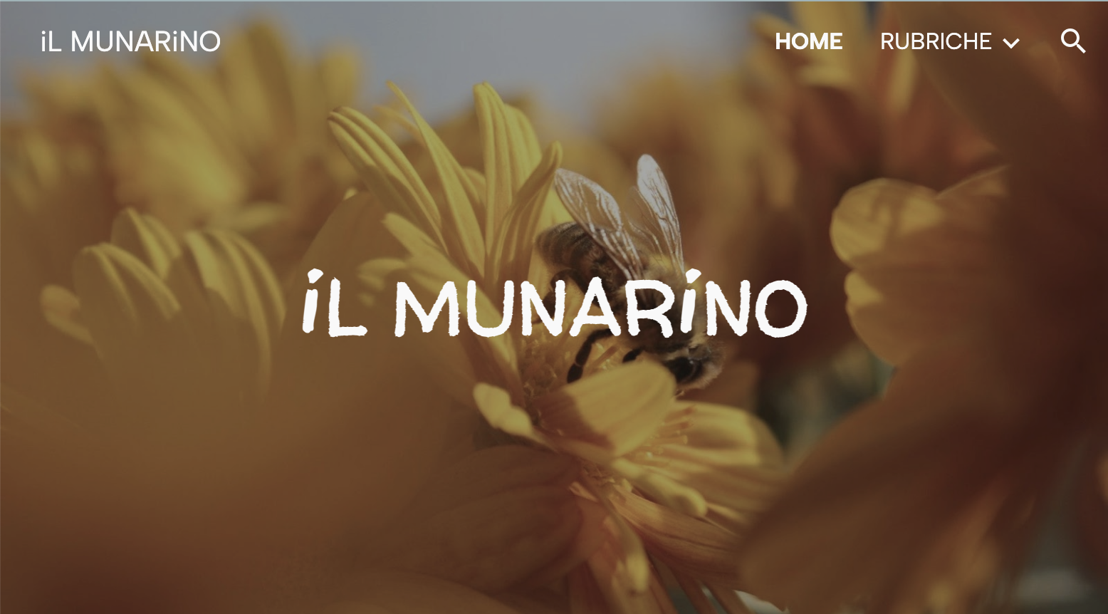 banner_ILMUNARINO_2.png